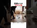 回避レベル999の猫