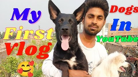 MY FIRST VLOG 🔥🥰||MY FIRST VIDEO ON YOUTUBE||❤️my first vlog 3rd lahar