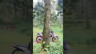 Download Mp3 Hutang pinus Klaten #christmas #funny #lagupngremix Gudang lagu Download Mp3 Hutang pinus Klaten #christmas #funny #lagupngremix