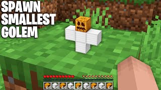 HOW to SPAWN the SMALLEST GOLEM in Minecraft ? TINY GOLEM !