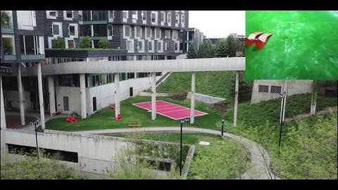 Fast and Agile Vision-based Flight with Teleoperation and Collision Avoidance on a Multirotor