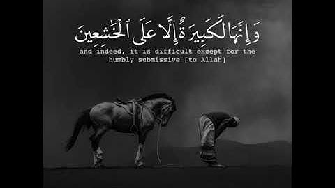 واستعينوا بالصبر والصلاة | القارئ عبدالرحمن مسعد