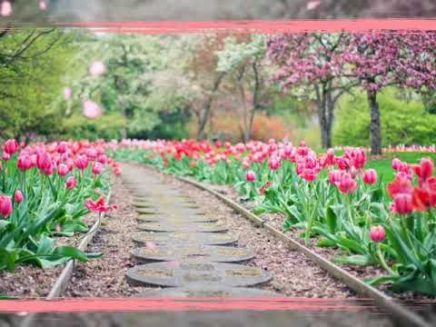 best-free-beautiful-nature-hd-photographs-wallpaper-photo-image-pics