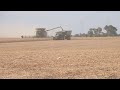 Harvest 2024 Harvest 2024