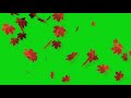 набор переходов осенние листья на зеленом фоне set of transitions autumn leaves on green background