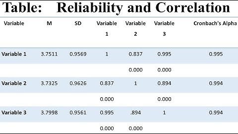 Correlation and Reliability SPSS Part 2 (Hindi/Urdu)