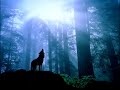 Sleep Music | 1h of Wolf Relaxing Sounds | Sounds Sleep Music #1