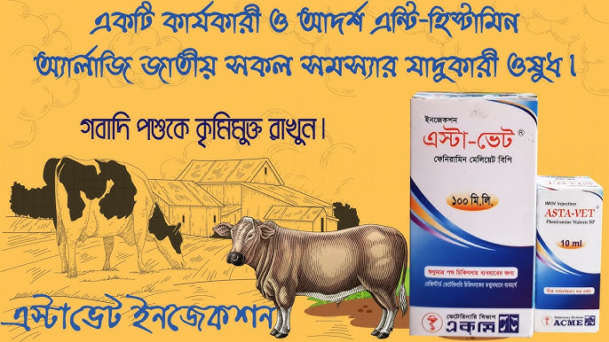 Katta etuk vaginalar Katta etuk vaginalar