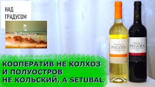 Обзор вин кооператива Adega Pegoes