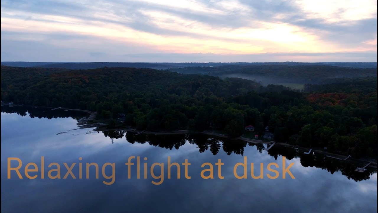 Relaxing flight at dusk