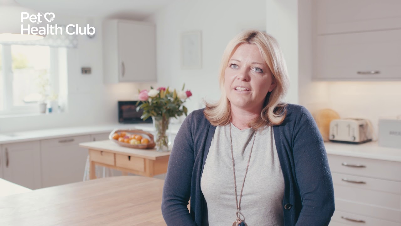 video to gif The Pet Health Club Diaries: Helen & Sweep