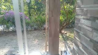DO'A MUSIM HUJAN COVER BY RISA SOLIHAH