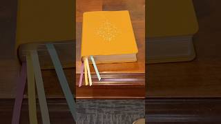Sneak Peek: Most Exciting Bible Release This Year???
