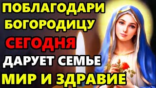 БЛАГОДАРИ БОГОРОДИЦУ! ЭТА МОЛИТВА МЕНЯЕТ ЖИЗНЬ! Сильная Молитва Богородице. Православие