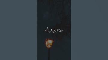 ومن يتق الله يجعل له مخرجا | القارئ ماهر المعيقلي
