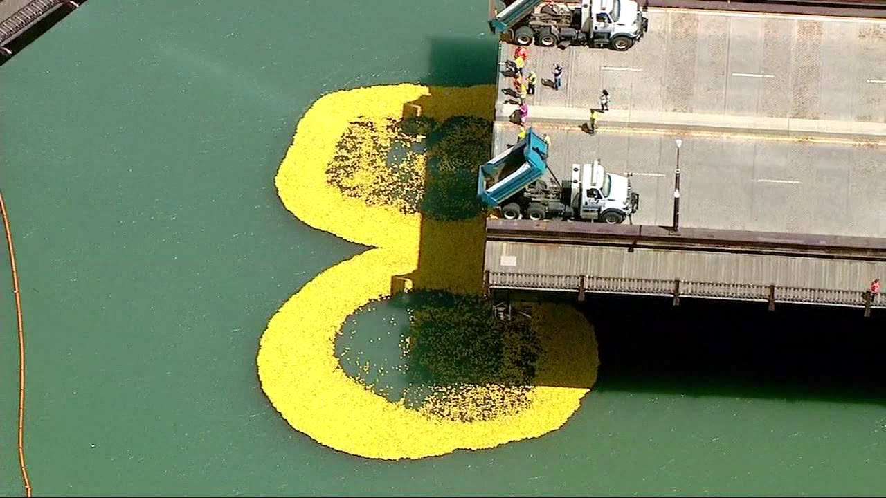 60,000+ rubber ducks to race in Chicago Ducky Derby Thursday YouTube