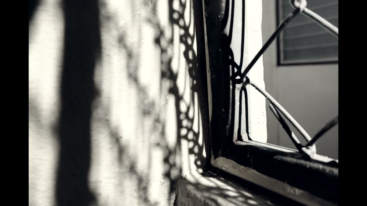 Tani Huynh - Quiet Clarity