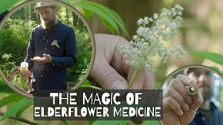 The Magic of Elderflower Medicine