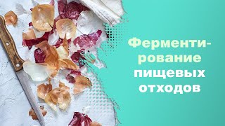 Ферментирование пищевых отходов