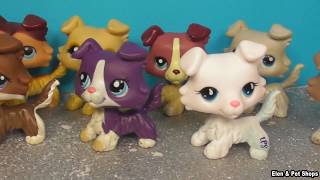 LPS: СОБАКИ КОЛЛИ LPS: СОБАКИ КОЛЛИ
