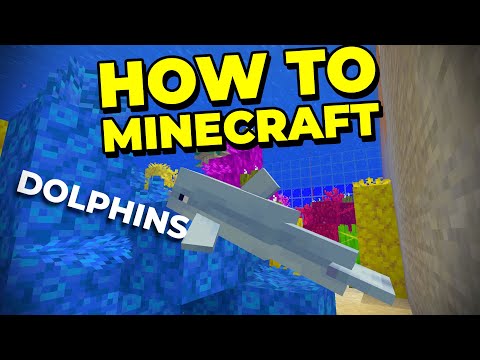 How to Get Dolphins as Pets - How to Minecraft #61