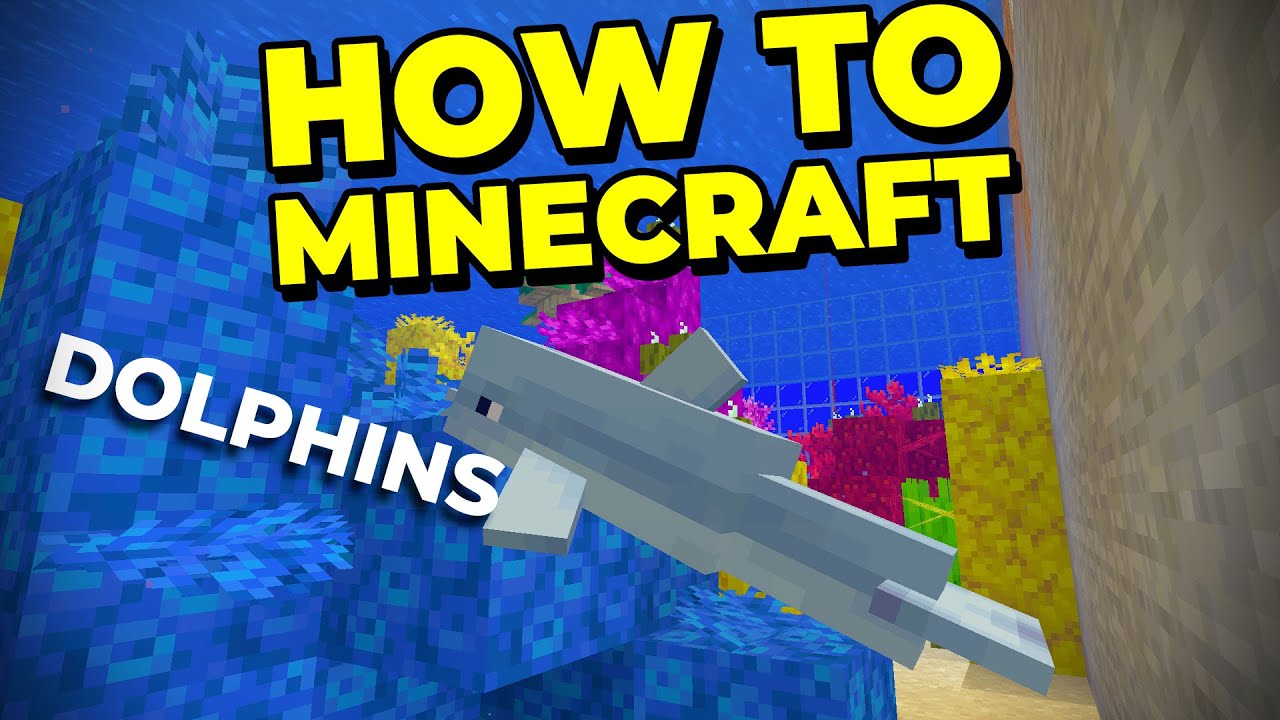 How To Get Dolphins As Pets - How To Minecraft #61