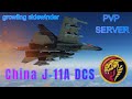 GROWLING SIDEWINDER CHINA J-11A kills compilation PVP server