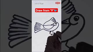 how to draw a Bird from 