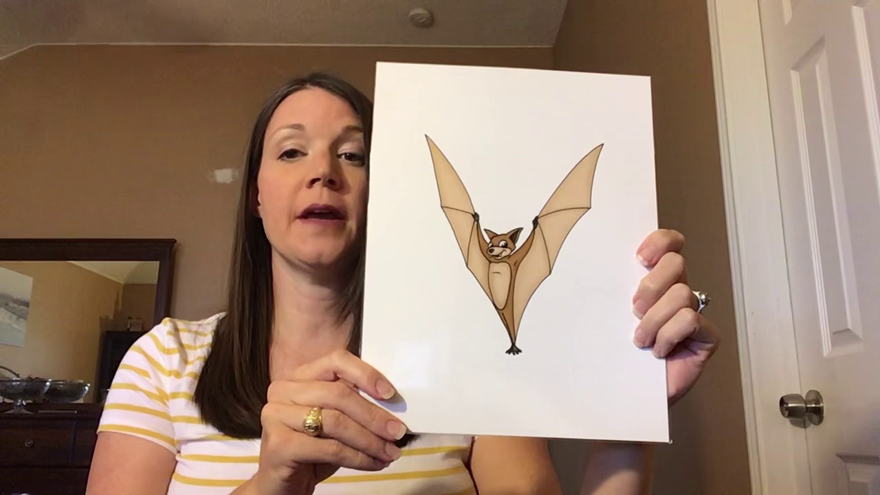 Vincent Vampire Bat YouTube vincent-vampire-bat-youtube