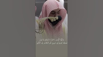(فما متاع الحياة الدنيا في الاخرة إلا قليل) #آيات #اكسبلور #اايات_من_الذكر_الحكيم #الوليد_الشمسان