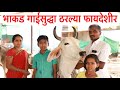 भाकड गाईसुद्धा ठरल्या फायदेशीर | कसाबखेडचा गोपालन व्यवसाय | Beneficial for Cows | Maze Ranshivar