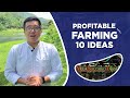 10 ideas for a profitable farm tourism