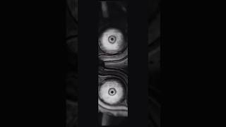 IDENTITY | Zelda: Majoras Mask Edit
LIKE and SUBSCRIBE with NOTIFICATIONS ON if you enjoyed the video! 👍
▶︎MORE VIDEOS!
MOD SHOWCASE: https://www.youtube.com/playlist?list=PLLmMbtN5gxwTvhpeIslffodcmym-iVliB
PERFORMANCE TEST: https://www.youtube.com/playlist?list=PLLmMbtN5gxwSE7BlQAfX4Sf7nlzLv60m2
HDR COMPARISON: https://www.youtube.com/playlist?list=PLLmMbtN5gxwSSiLtdaDb2s2KmpH1eVmGM
CINEMATICS: https://www.youtube.com/playlist?list=PLLmMbtN5gxwQnrMtmb1BruRtjMv9ak32U
EDITS: https://www.youtube.com/playlist?list=PLLmMbtN5gxwQItLHrvEjKPqflYPhXrFxe
▶️ GET CONNECTED:
🎥 More Gametism: https://www.youtube.com/@Gametism
📱 TikTok | https://www.tiktok.com/@gametism
📷 Instagram | https://www.instagram.com/gametism_/
🖼️ Flickr | https://www.flickr.com/photos/gametism/
🎮 My Mods | https://www.nexusmods.com/users/1173467?tab=user+files
🦋 Bsky | https://bsky.app/profile/gametism.bsky.social
🐦 X | https://twitter.com/gametism
❤️ Patreon | https://www.patreon.com/c/Gametism845
💰 DONATE: https://www.paypal.com/paypalme/Gametism
☕ KO-FI: https://ko-fi.com/gametism
My System:
Intel® Core™ i9 24-Core-Processor 13900HX (5,4 GHz Turbo)
64 GB Corsair 4800 MHz SODIMM DDR5
NVIDIA® GeForce® RTX 4090 - 16.0GB GDDR6
2 TB-SAMSUNG 990 PRO M.2, PCIe 4.0 NVMe
For business inquiries and collaborations, please contact me at: realgametism@gmail.com IDENTITY | Zelda: Majoras Mask Edit