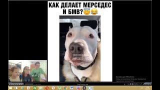 Смешные Видео. Реакции детей! Я РЖАЛ ДО СЛЕЗ НОВЫЕ ПРИКОЛЫ /  / Смешные испуги людей и животных