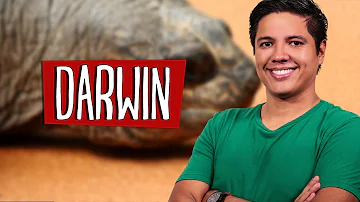 Quais os princípios do darwinismo?