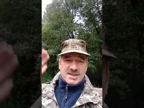 Анекдот про Буратино.#Shorts#анекдот#смешные анекдоты#ржака