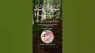 سورة الرعد #الشيخ_يوسف_العيدروس