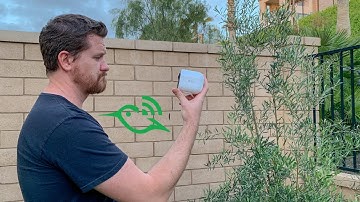 The Arlo No Update, Update!