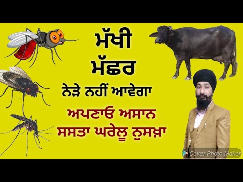 ਮੱਖੀ ਮੱਛਰ ਭਜਾਉਣ ਦਾ ਘਰੇਲੂ ਤੇ 100% ਅਜ਼ਮਾਇਆ ਤਰੀਕਾ ॥