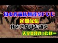 #初心者競馬相談室POG 定期配信 22年11月号 天皇賞の話もするよ