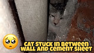 Cat stuck in between wall and cement sheets Rescued safely  | Animal Rescue India | Nashik |