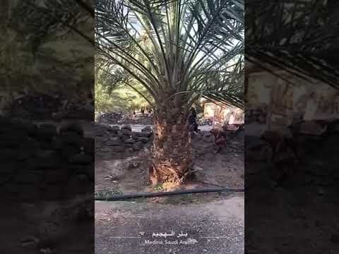 آبار وأماكن تاريخيه في المدينه المنوره