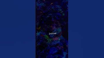 سورة يوسف #قرأن #تلاوة_خاشعة #مصر #السعودية #اكسبلور #ترند #دويتو #duet #السعودية #دويتو #لايك