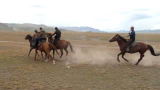 Buzkashi, Kyrgyzstan 2012