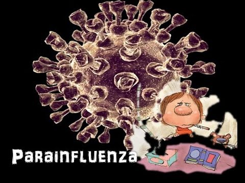 Parainfluenza