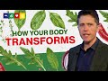 What a plant based diet does to your body 28 days on a vegan diet