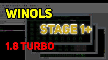 Winols Stage 1+ REMAPPING SECRETS for MAXIMUM POWER GAIN