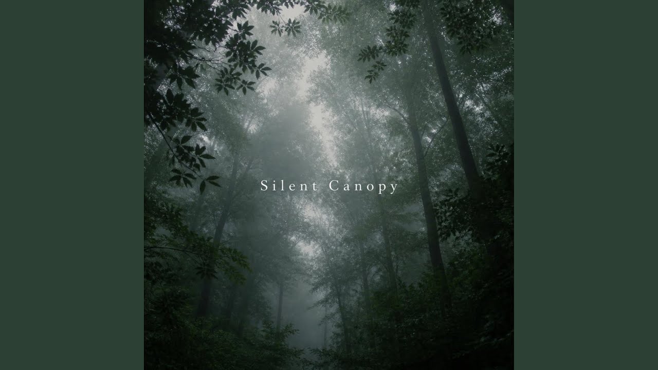 Watch Silent Canopy on YouTube Watch Silent Canopy on YouTube
