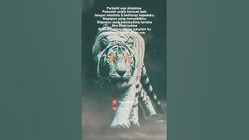 Kata macan putih. aku memang pentramen tapi penyayang & setia #shorts #500subs #khodampendamping