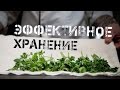 Хранение зелени 🌱 урок | Кулинарные хитрости 👌|